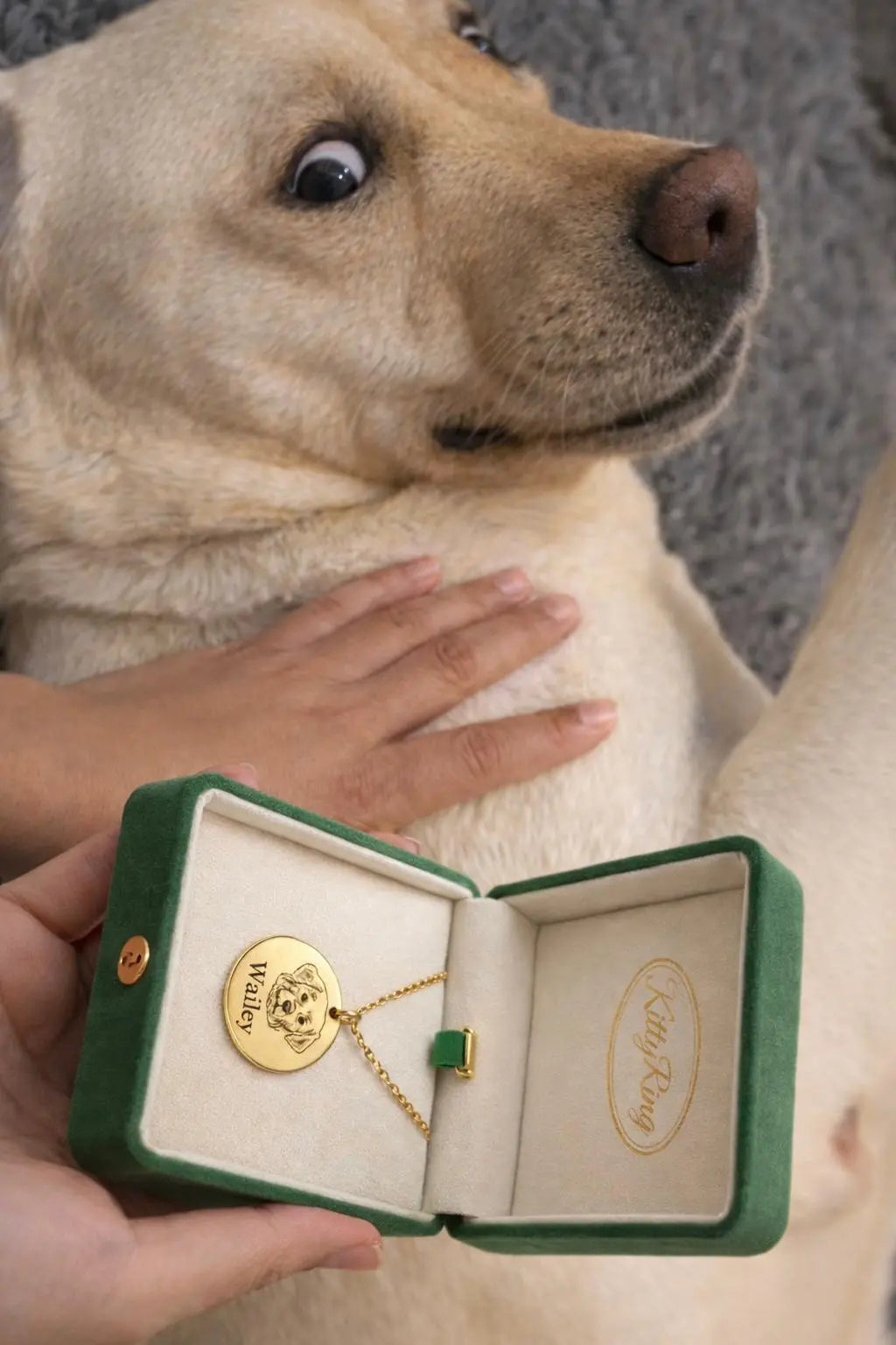 Personalized Pet Face Bracelet – Classic Engraved Edition