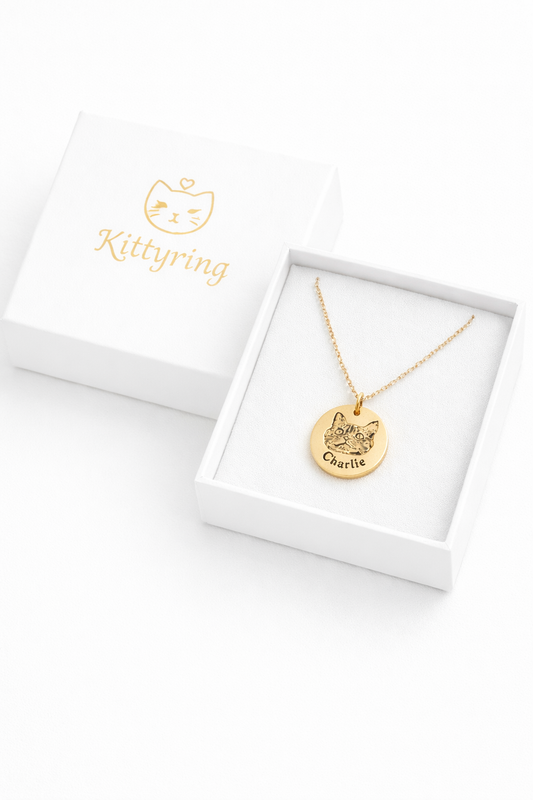Cat Memorial Gift Ideas for a Friend Who Lost Their Cat